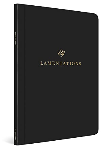 ESV Scripture Journal: Lamentations: Lamentations (Paperback)